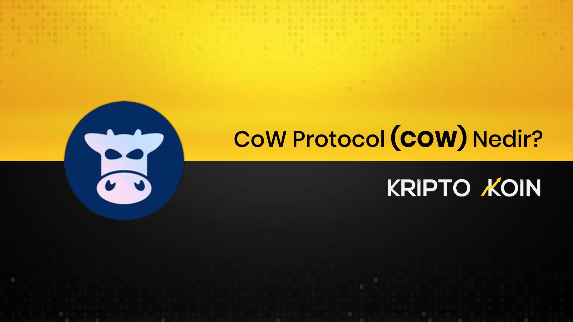 what-is-cow-protocol-what-does-cow-do-technopixel