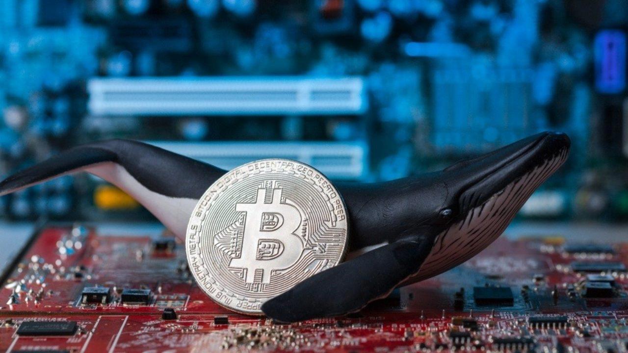 Famous Bitcoin Whale Named 4 Altcoins: It Looked Like FTT!