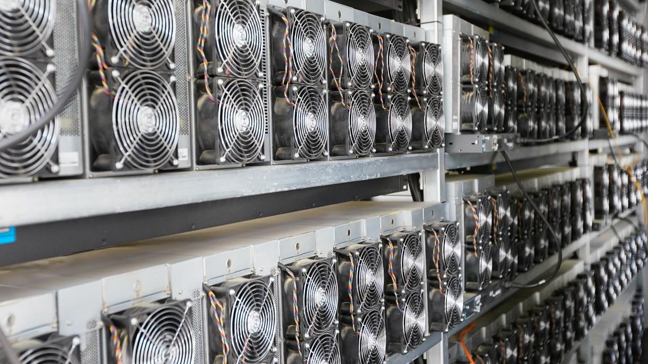 rise crypto mining