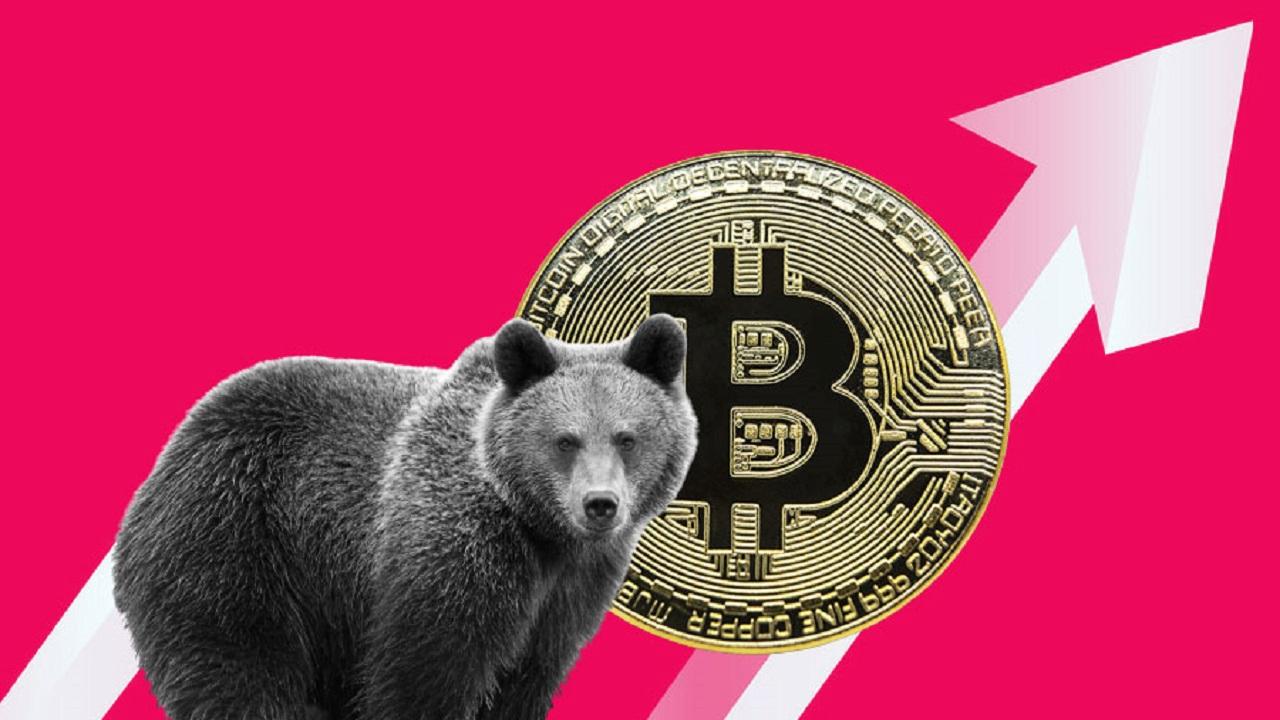 bitcoin bear market over