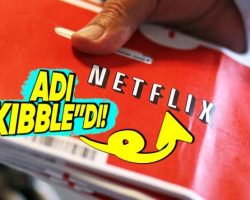 Did you know that Netflix was founded even before Google? Enough but how?